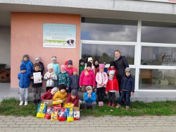 Od Przedszkolaków dla ostrowskich zwierzaków