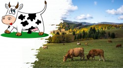 KSZTAŁCENIE NA ODLEGŁOŚĆ 09.04 PIĄTEK