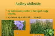 rośliny włókniste