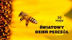 ŚWIATOWY DZIEŃ PSZCZÓŁ