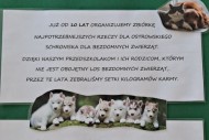 Zbiórka dla schroniska