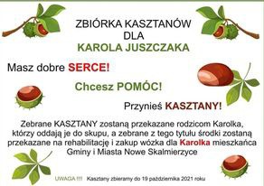 ZBIÓRKA KASZTANÓW - PODSUMOWANIE