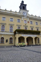PROJEKT "MAŁY OSTROWIANIN" W MALUSZKU ZAKOŃCZONY