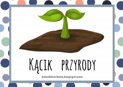 Kącik przyrody
