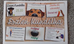 „Dzień Kundelka”  -  25 październik 2022 roku (wtorek)