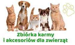 OD PRZEDSZKOLAKÓW DLA OSTROWSKICH ZWIERZAKÓW