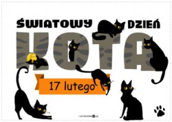 DZIEŃ KOTA