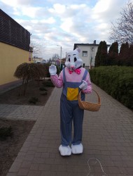WITAJ ZAJĄCZKU 