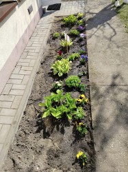 KRASNALKOWY WIOSENNY OGRÓDEK
