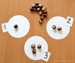 KASZTANOWA MATEMATYKA