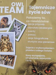 ZAJĘCIA Z SOWAMI