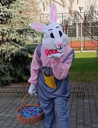 ZAJĄCZEK W PRZEDSZKOLU