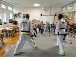 ZAJĘCIA POKAZOWE TAEKWON-DO