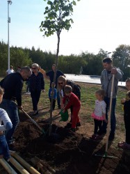 ŚWIĘTO DRZEWA 2018