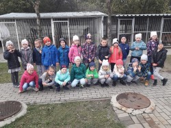 OD PRZEDSZKOLAKÓW DLA OSTROWSKICH ZWIERZAKÓW